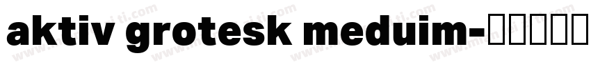 aktiv grotesk meduim字体转换